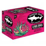 Dogfish Head - Citrus Squall 0 (62)